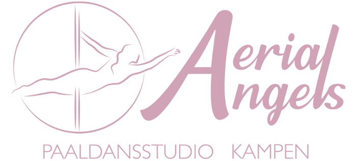 Logo Aerial Angels
